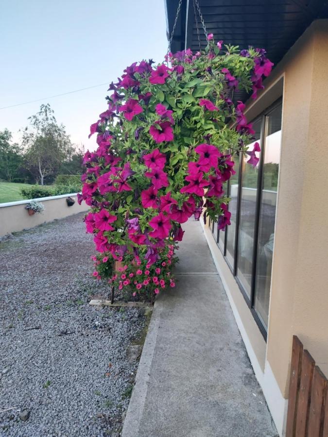 Lecarrow Ard Aoibhinn Roscommon المظهر الخارجي الصورة