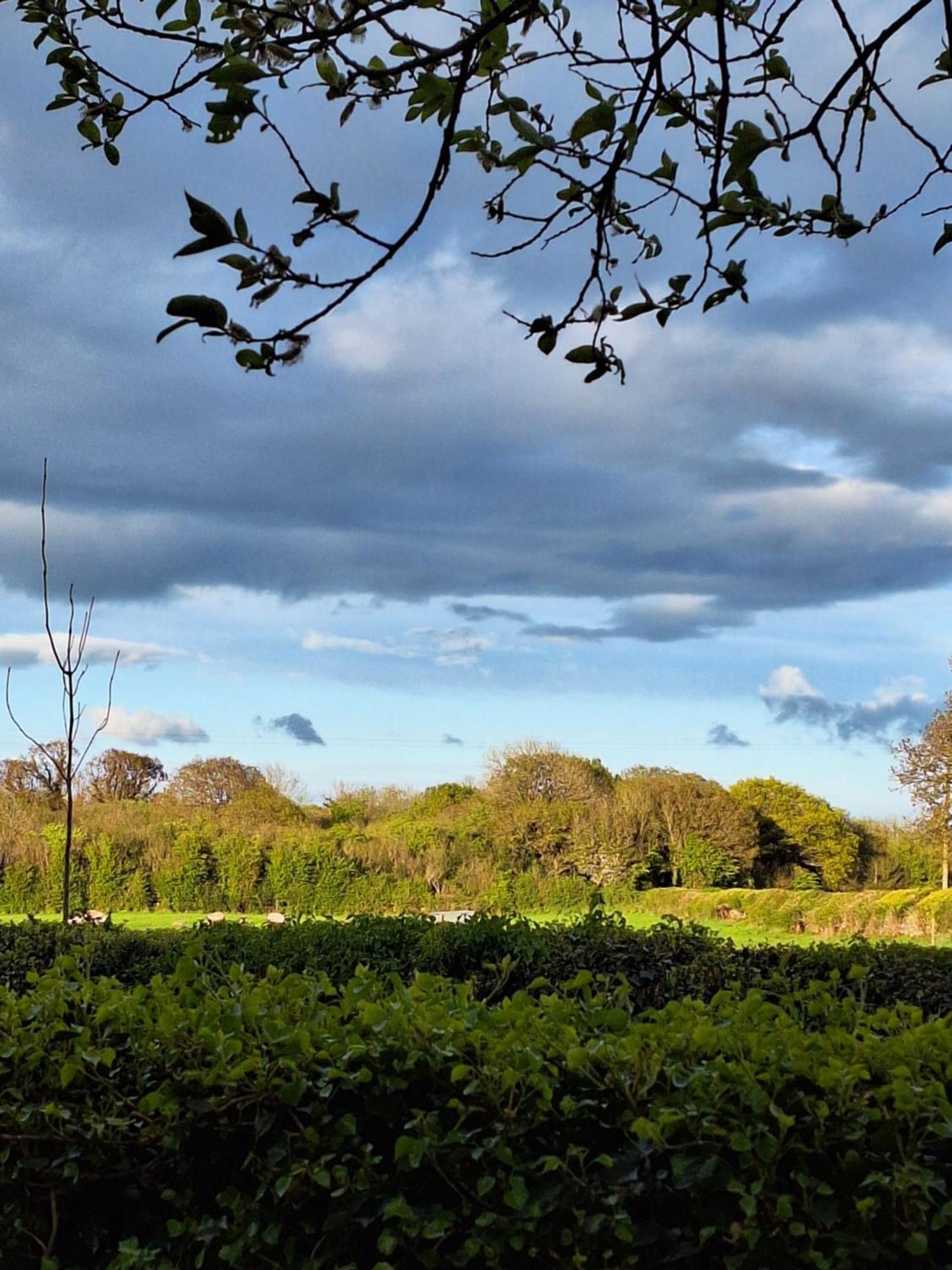 Lecarrow Ard Aoibhinn Roscommon المظهر الخارجي الصورة