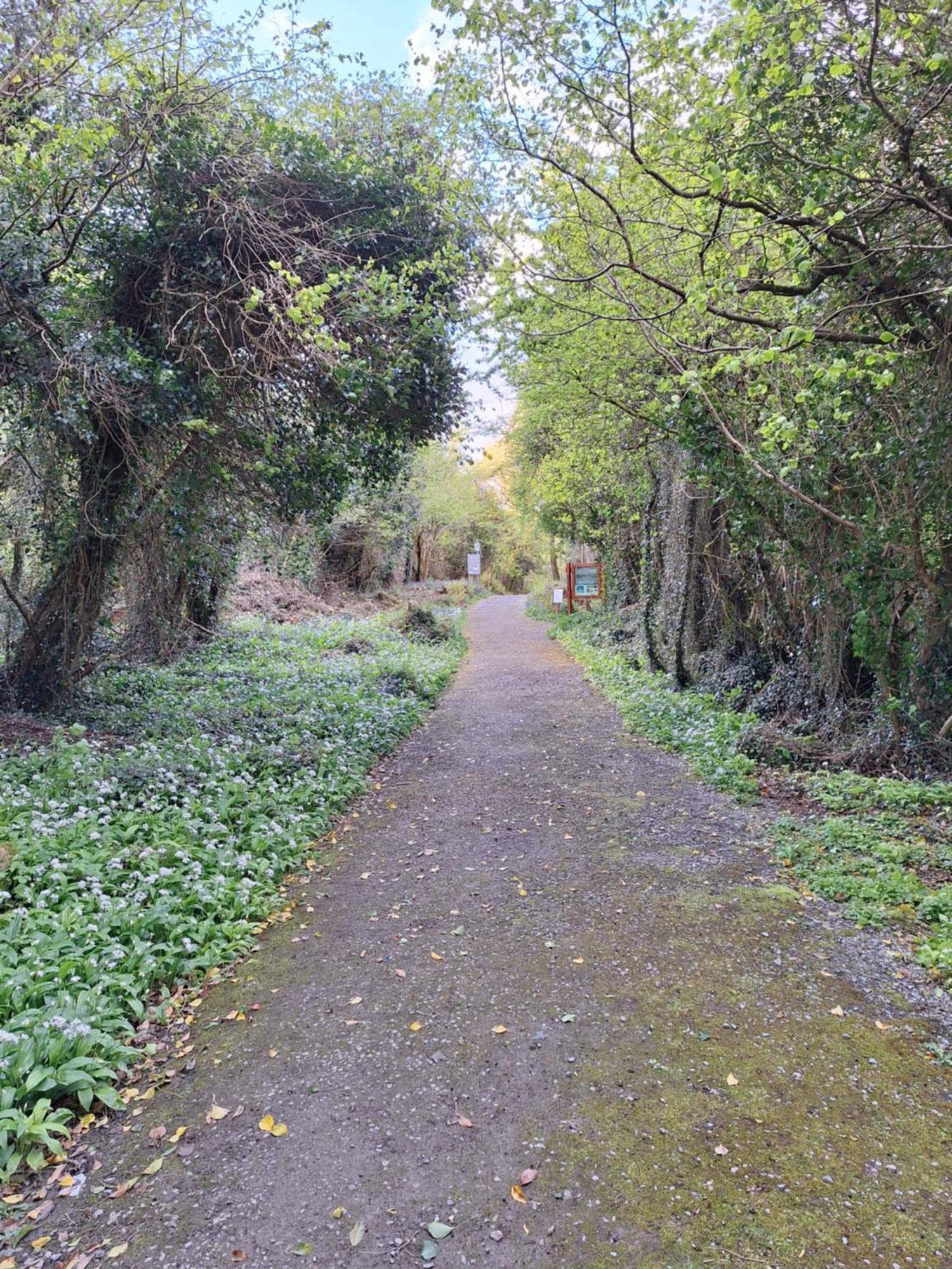 Lecarrow Ard Aoibhinn Roscommon المظهر الخارجي الصورة