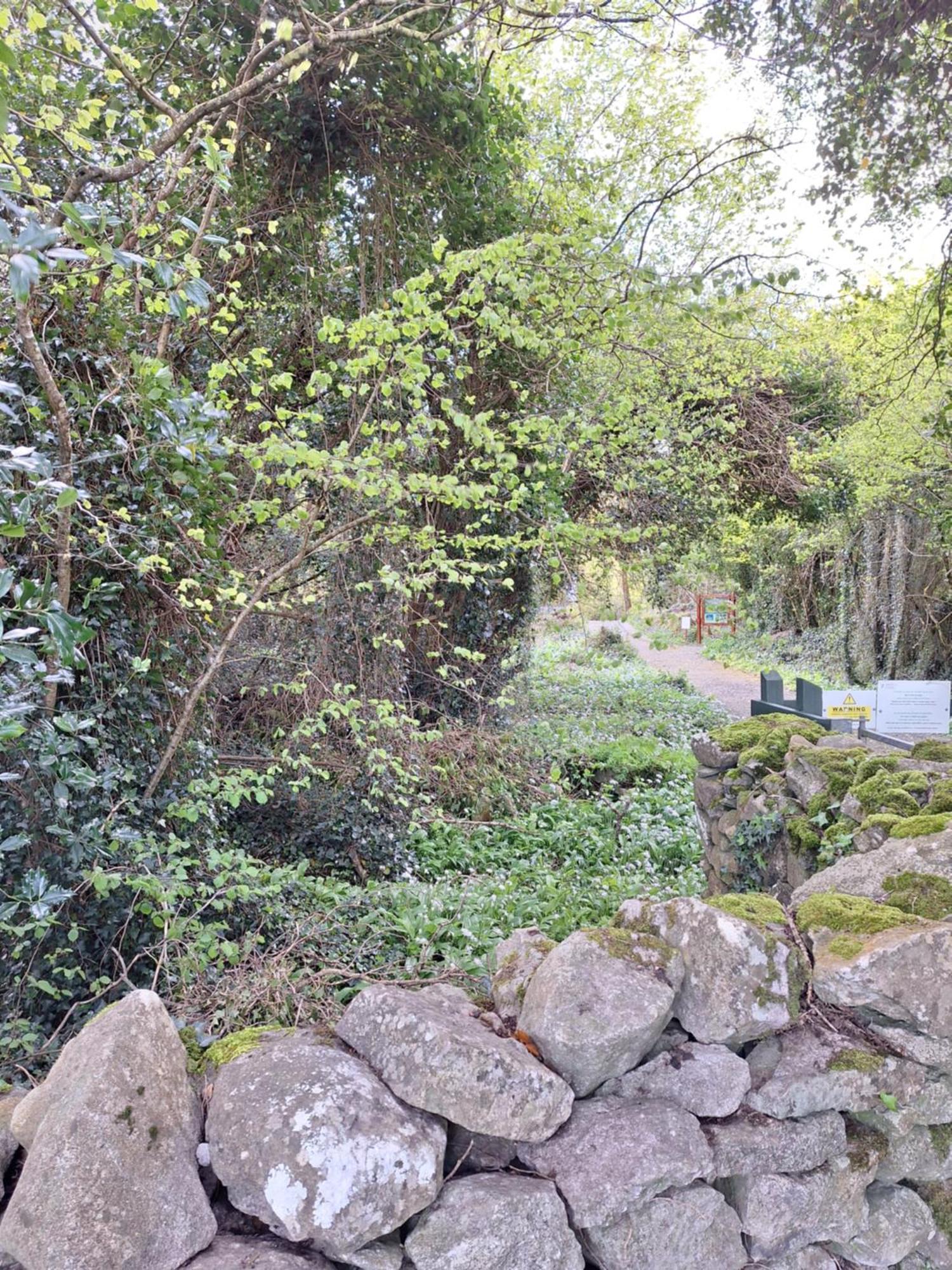 Lecarrow Ard Aoibhinn Roscommon المظهر الخارجي الصورة