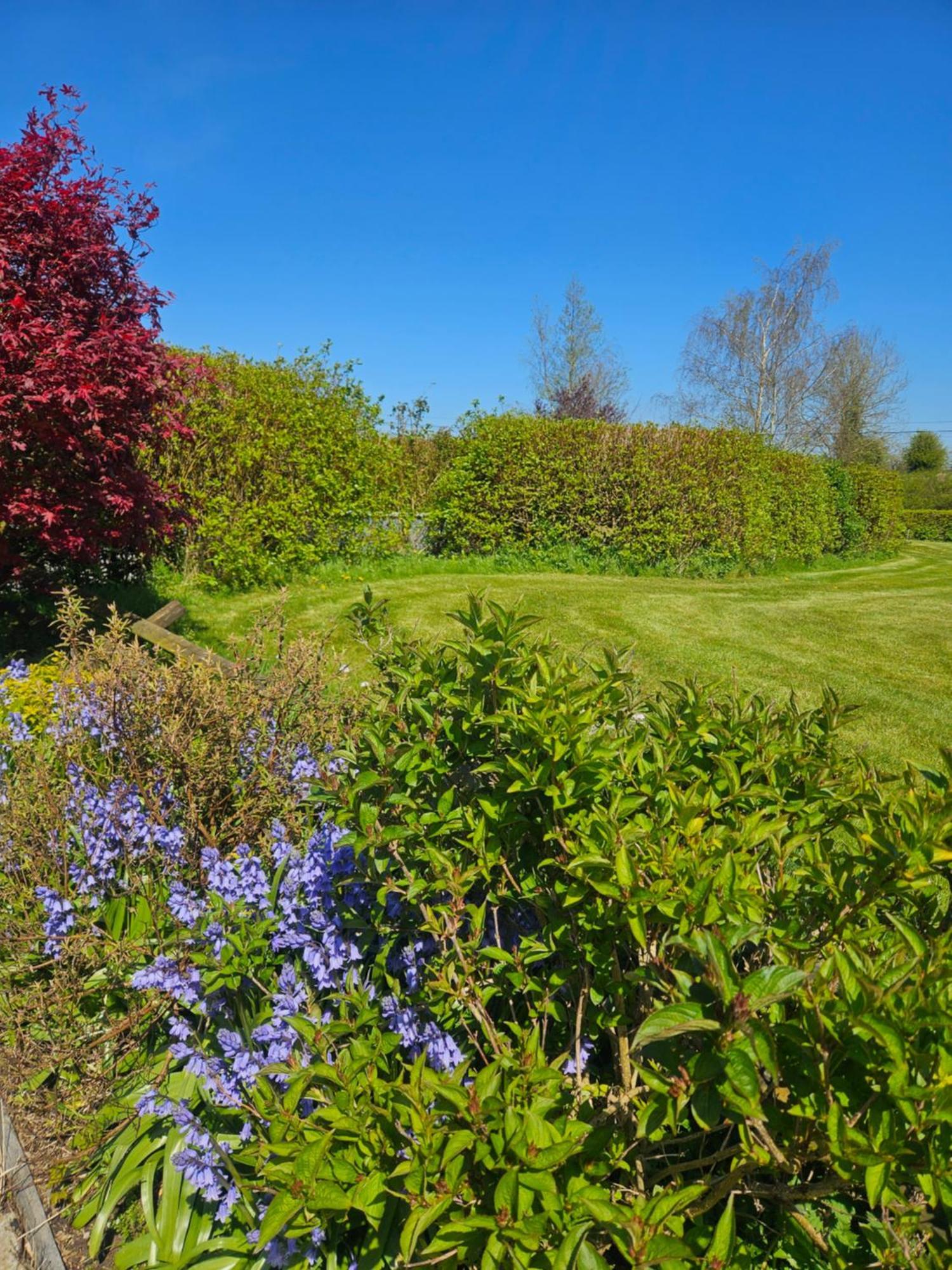 Lecarrow Ard Aoibhinn Roscommon المظهر الخارجي الصورة